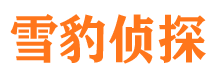 汝城侦探公司